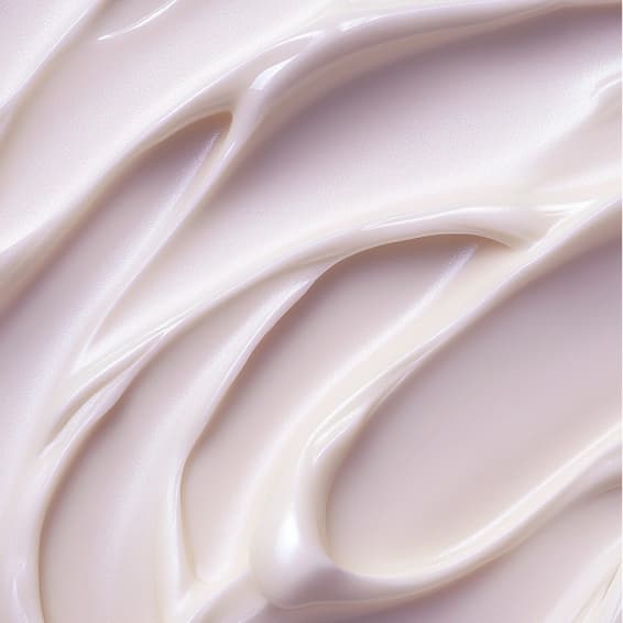 Skin Wellness Membership at Beauty From Within Spa in Schaumburg, IL